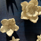 Cielo de gardenias