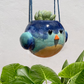Maceta Pajarito